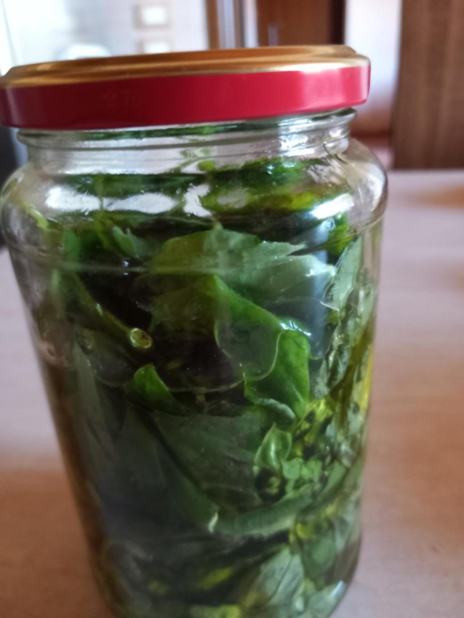 Agriturismo La Casina Rosa 卡迈格拉特罗希拉诺 外观 照片
